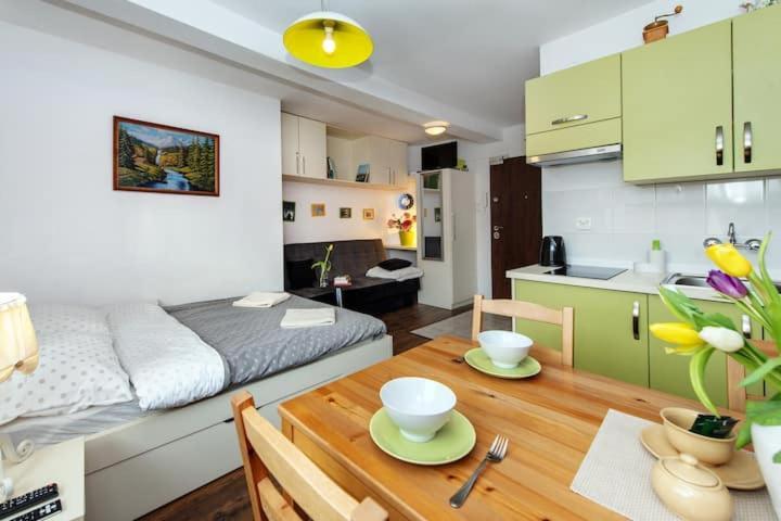 Cosy Studio Apartment Краків Екстер'єр фото