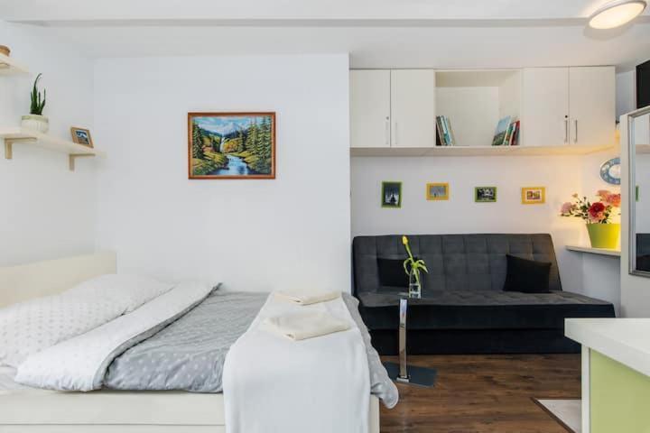 Cosy Studio Apartment Краків Екстер'єр фото